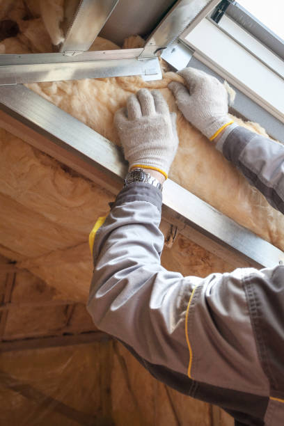 Best Geographic-Specific Insulation Services in Swift Trail Junction, AZ