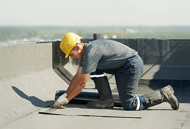 Best Specialized Insulation Services in Swift Trail Junction, AZ